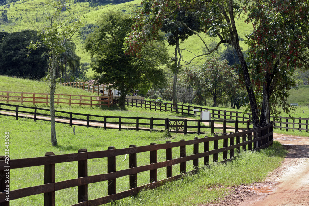 Dirt road flanked by wood fence on countryside of Brazil