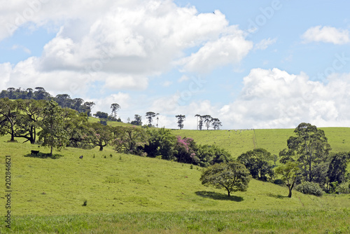 Wide view of the green hills