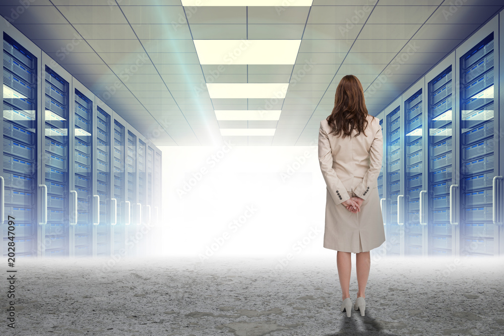 Fototapeta premium Rear view of businesswoman against server hallway in desert setting