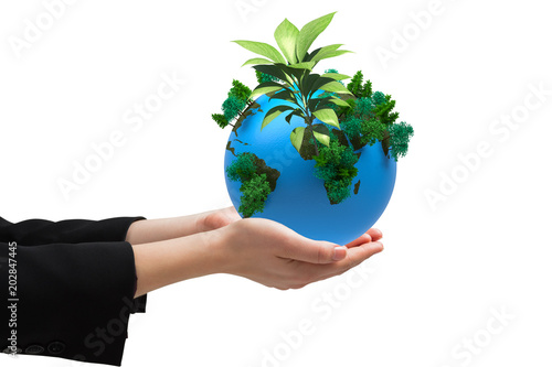 Businesswomans hands presenting against little green seedling with leaves growing