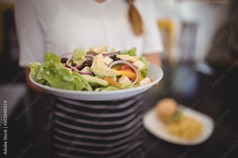 Midsection of waitress holding fresh Greek salad in plate Midsection of waitress holding fresh Greek salad in plate