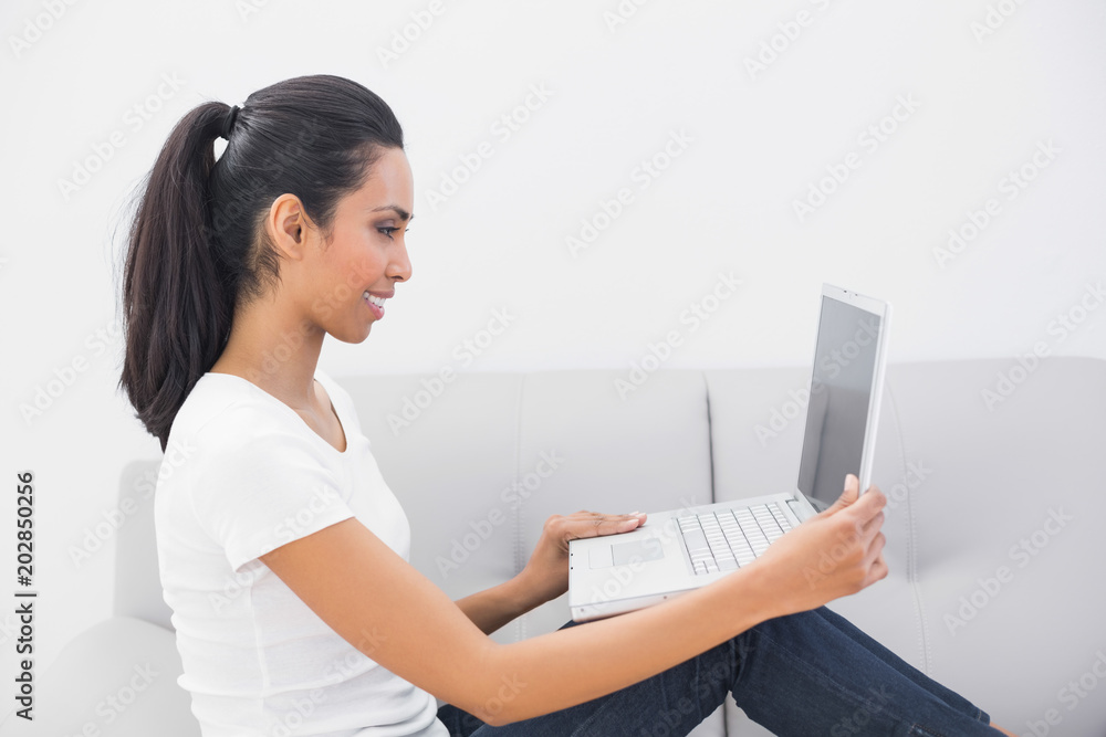 Softly smiling woman working on her notebook sitting on couch Softly smiling woman working on her notebook sitting on couch