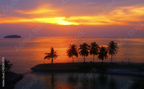 Sunset at the beach with silhouette palm trees
