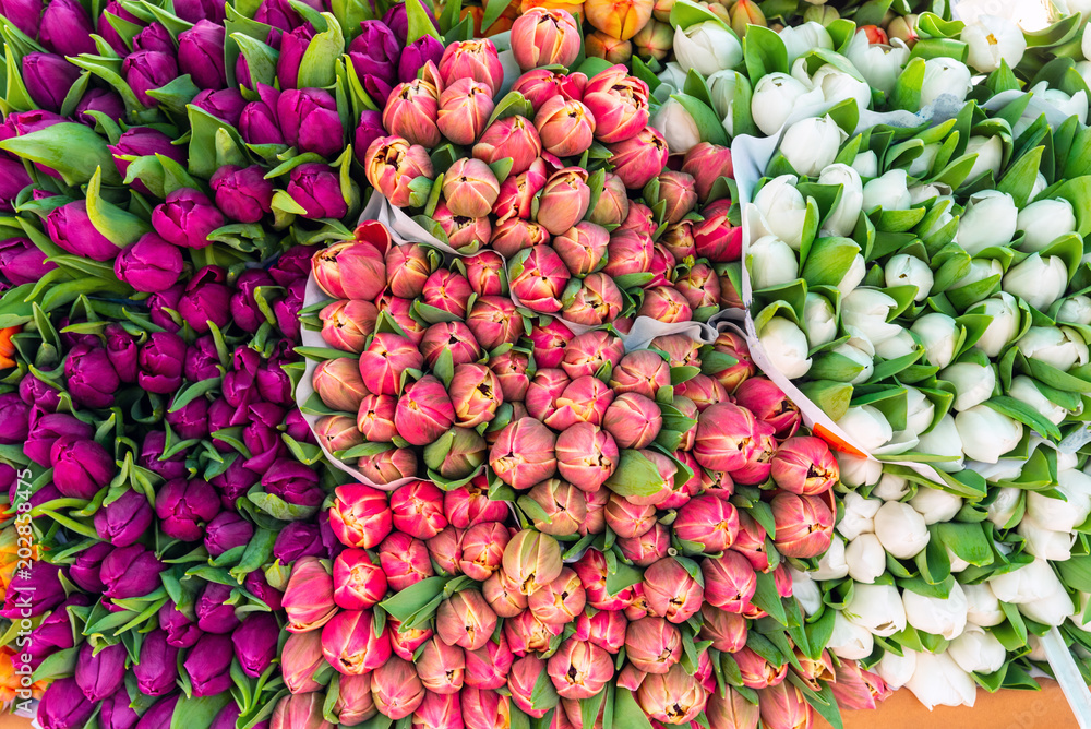 Colorful tulips for sale at a market