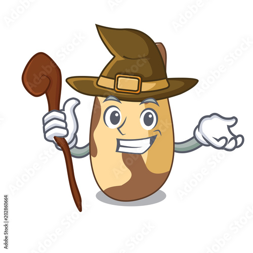 Witch brazil nut mascot cartoon