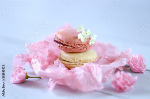  Macaron cake set. Macarons in pastel colors in a pink crumpled paper on a light blue wooden background. delicious dessert