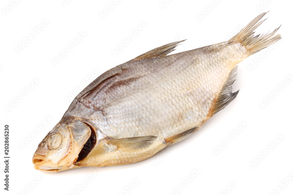 dried fish isolated on white background. Beer brewery concept. Beer background dried fish isolated on white background. Beer brewery concept. Beer background