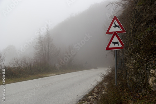 road in bad weather with fog and animal signals