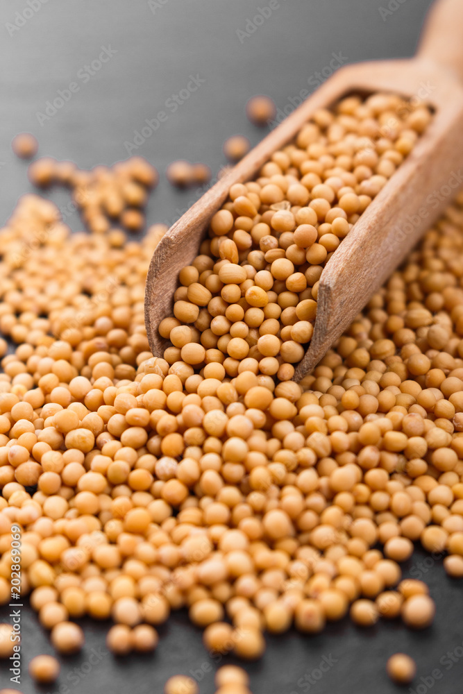 Fototapeta premium fresh grains of mustard on a rustic background