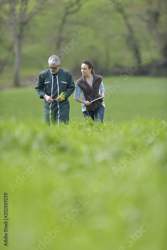 Farmer with agronomist walking in agricultural field © goodluz