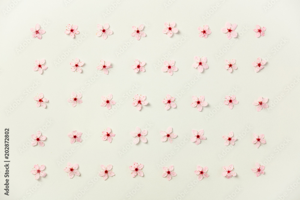 Floral pattern of cherry flowers