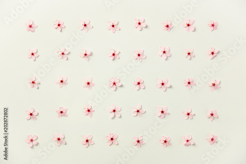 Floral pattern of cherry flowers