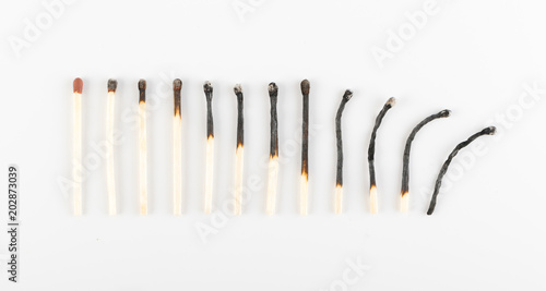 Burned Matches or Match Sticks