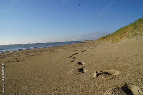Sunset beach