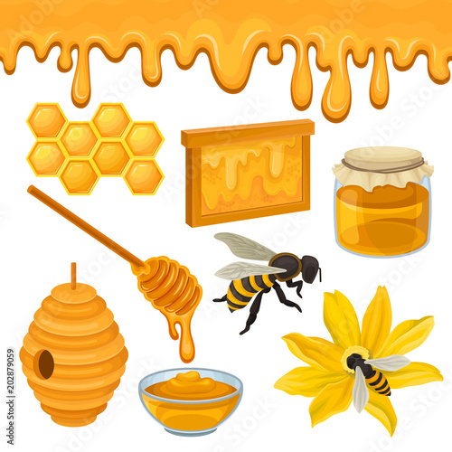 Flat vector set of icons related to honey production theme. Bee on flower, honeycomb, hive, glass bowl and jar, wooden dipper. Natural product