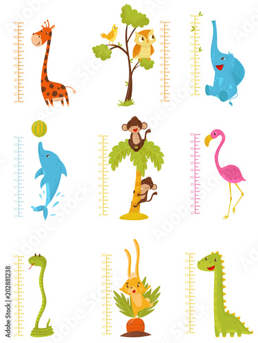 Flat vector set of rulers for measuring kids growth with cute animals and birds. Decorative meter wall stickers for children room