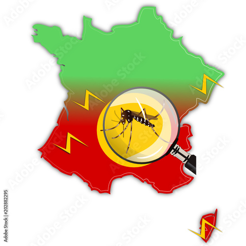 Moustique tigre en France