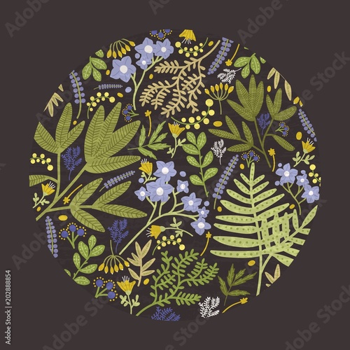 Round floral decorative design element, backdrop or decoration consisted of colorful wild blooming meadow flowers, flowering herbs and forest ferns on black background. Natural vector illustration.