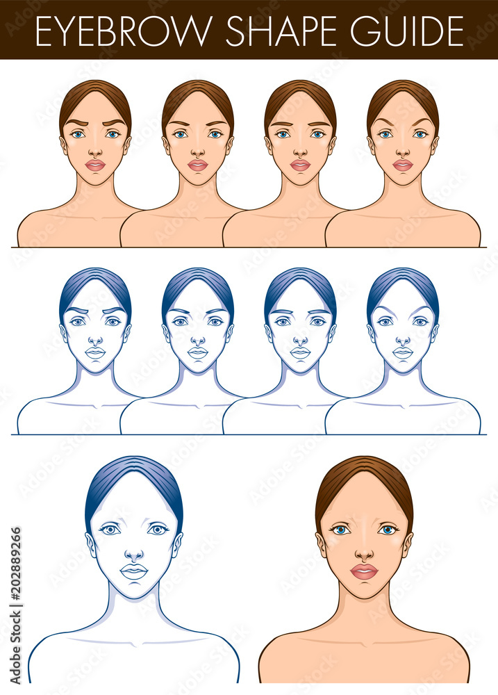 Eyebrow shape guide. Template of female blank face. Vector illustration of pretty young woman. Professional make up chart. Eyebrow styling technique. Eyebrow shape guide. Template of female blank face. Vector illustration of pretty young woman. Professional make up chart. Eyebrow styling technique.