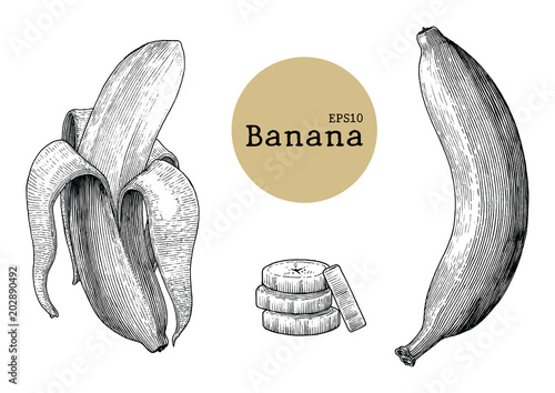 Banana collection sets hand drawing vintage engraving illustration
