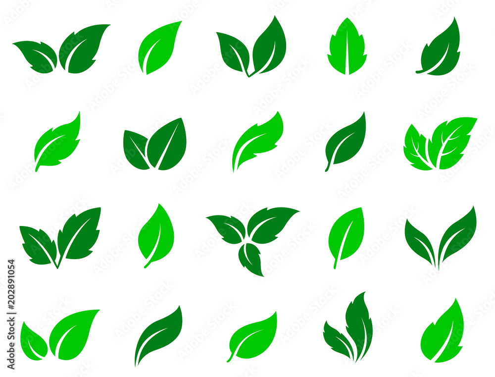 set of green leaves icons set of green leaves icons