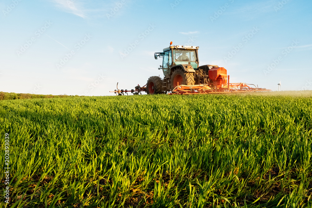 Fototapeta premium traktor auf dem feld bei der arbeit