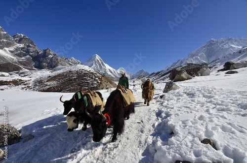 Coming back from Everest Base Camp © Borja