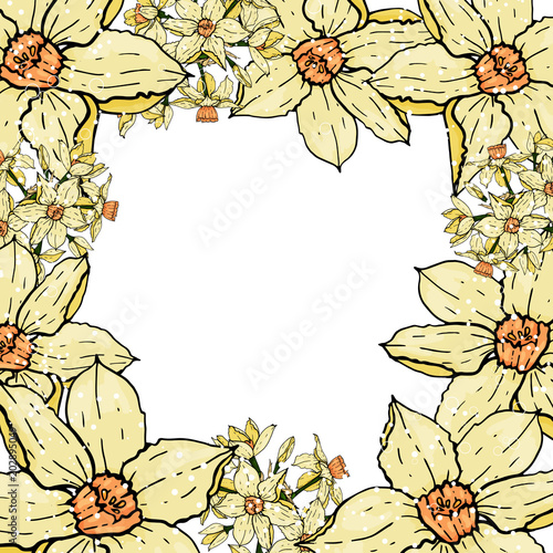 hand drawing  Narcissus flowers background.