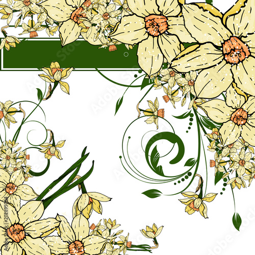  hand drawing  Narcissus flowers background.