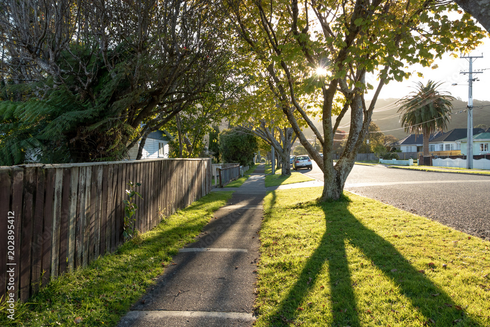Peaceful New Zealand Neighborhood At Sunset 