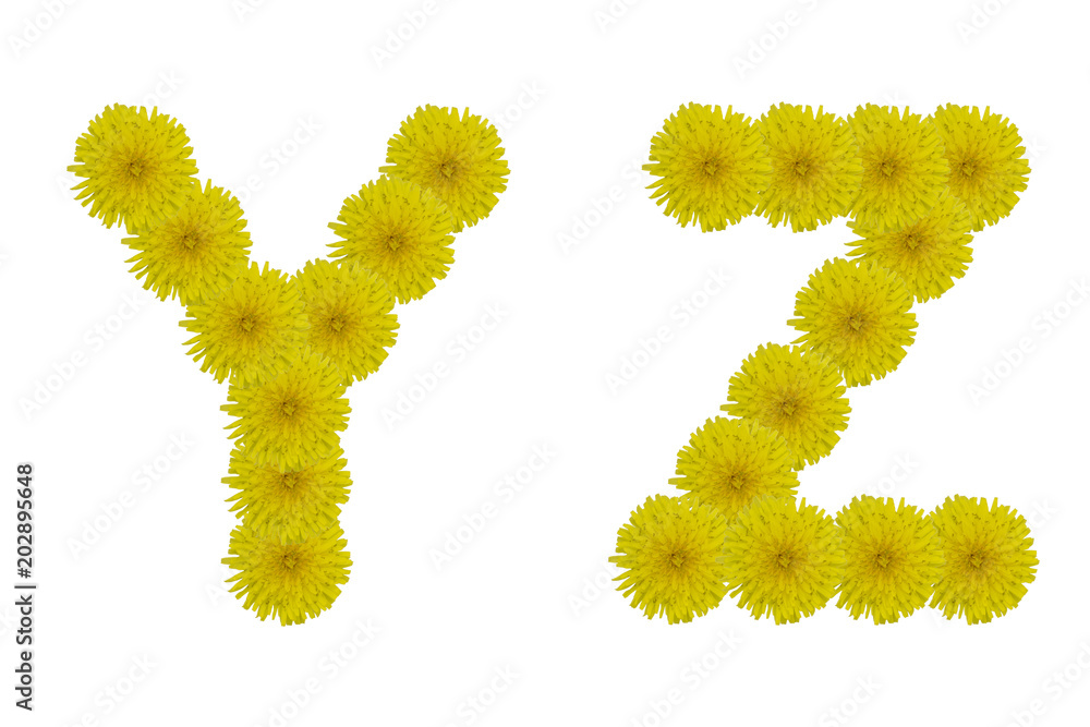 Floral letters Y, Z isolated on white background