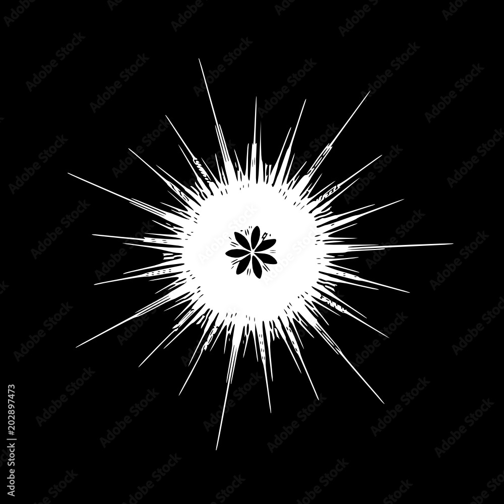 Fototapeta premium Decorative mandala - snowflake in a black -white colors
