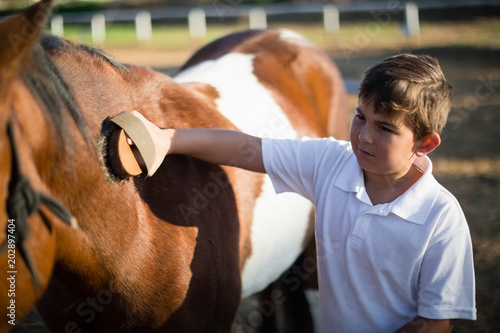 Boy grooming the horse in the ranch
