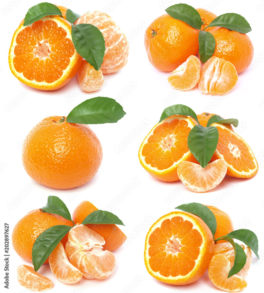 Fruit mandarin Fruit mandarin