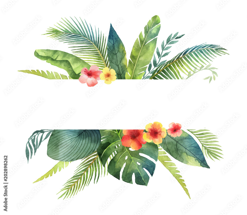 Watercolor vector banner tropical leaves and branches isolated on white background. - obrazy, fototapety, plakaty 