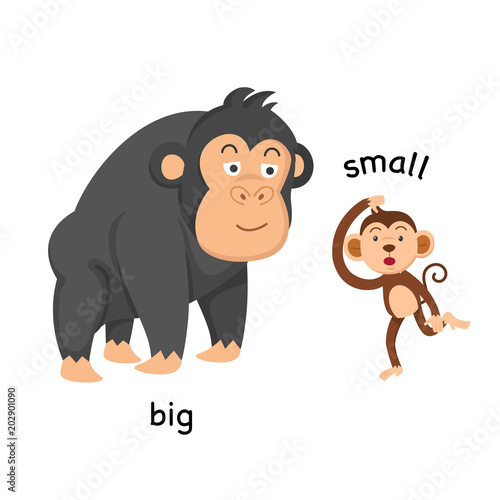 Opposite big and small vector illustration