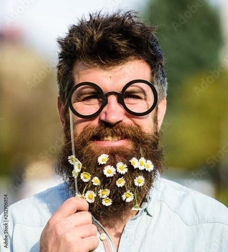 Man with long beard and mustache, defocused nature background. Hipster with beard on smiling face, posing with glasses. Guy looks nicely with daisy or chamomile flowers in beard. Springtime concept.
