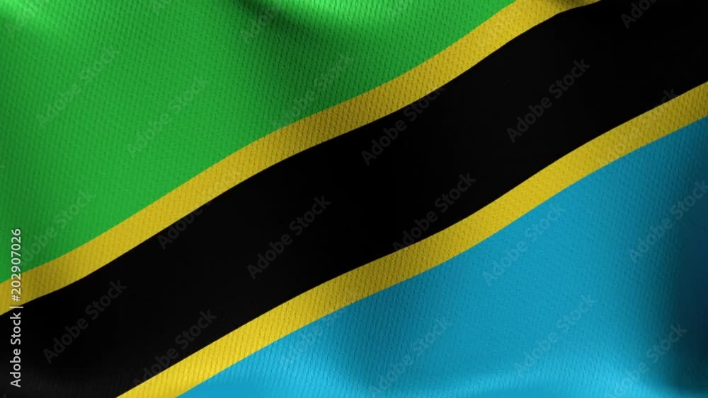 Videoanimation einer wehenden Flagge von Tansania Videoanimation einer wehenden Flagge von Tansania