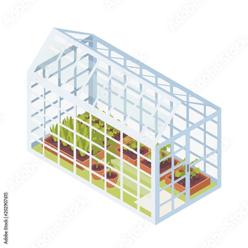 Green seedlings growing in boxes with soil inside glass greenhouse. Isometric glasshouse with garden beds for plants cultivation isolated on white background. Vector illustration in flat style.