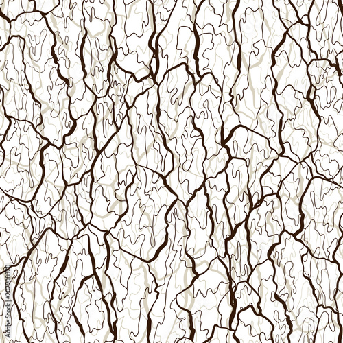 Vector seamless pattern of bark texture. Wood natural structure