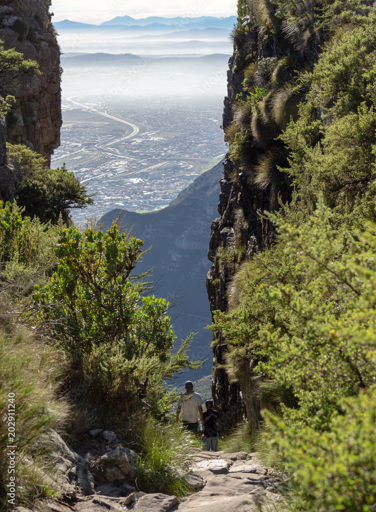 Naklejka premium Platteklip Gorge, Table Mountain, Cape Town, South Africa