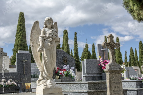 primer plano de estatua de ángel en el cementerio photo