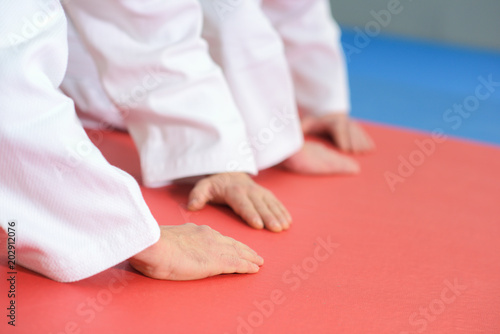hands on the floor during martial arts practice