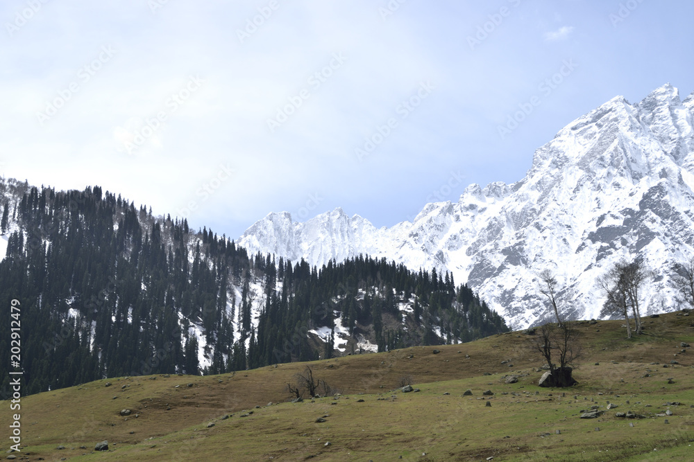 Incredible Kashmir valley
