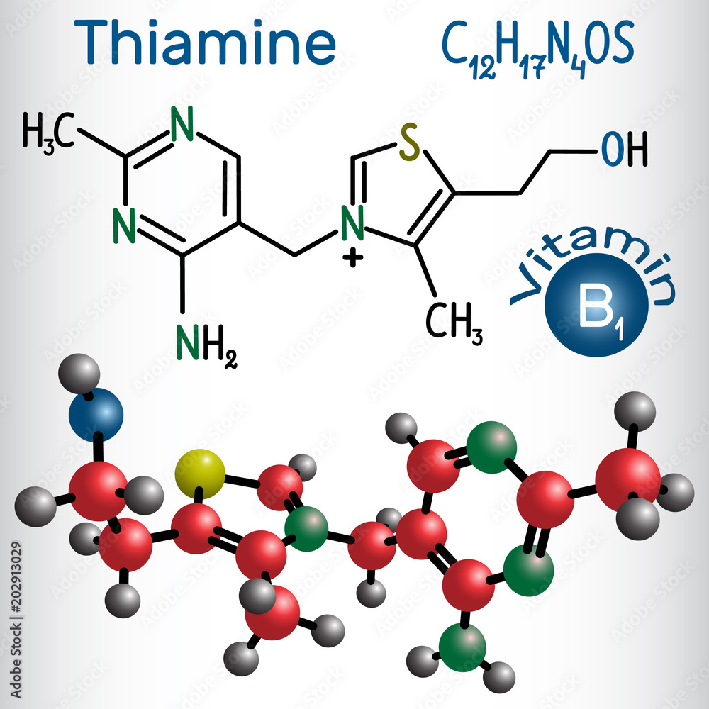 Thiamine (thiamin or vitamin B1) , found in food, used as a dietary supplement and medication Thiamine (thiamin or vitamin B1) , found in food, used as a dietary supplement and medication