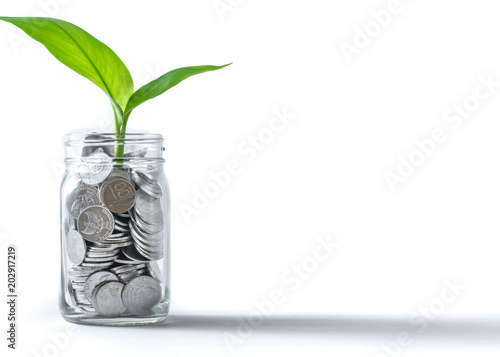 coins in a jar with plant growing suggests investment, wealth, savings & growth.