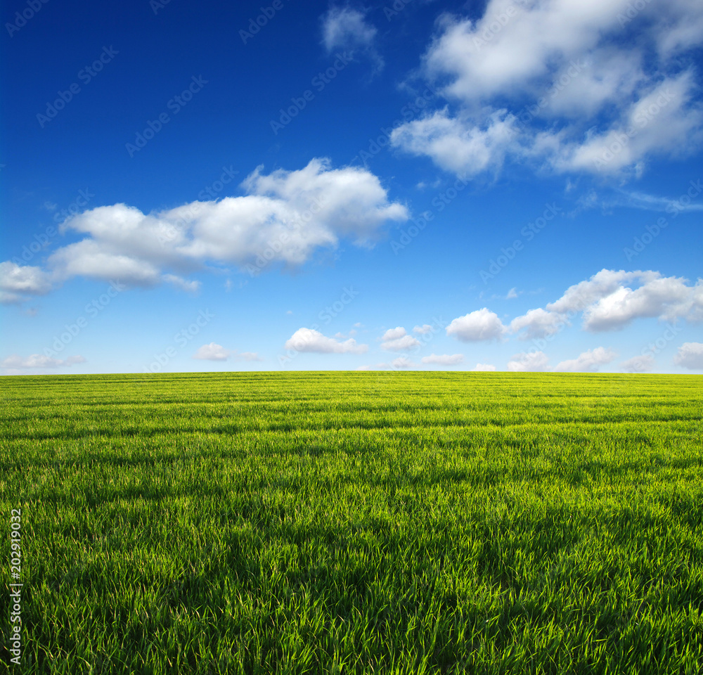 green field and clouds green field and clouds