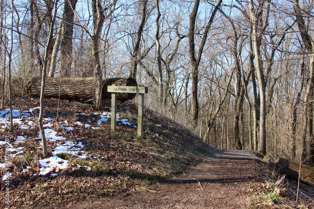 The hiking trail in the forest leaving the fort area of woods. The hiking trail in the forest leaving the fort area of woods.
