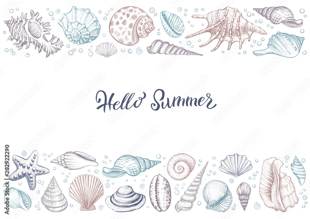 Summer horizontal colorful vintage banner with seashells.