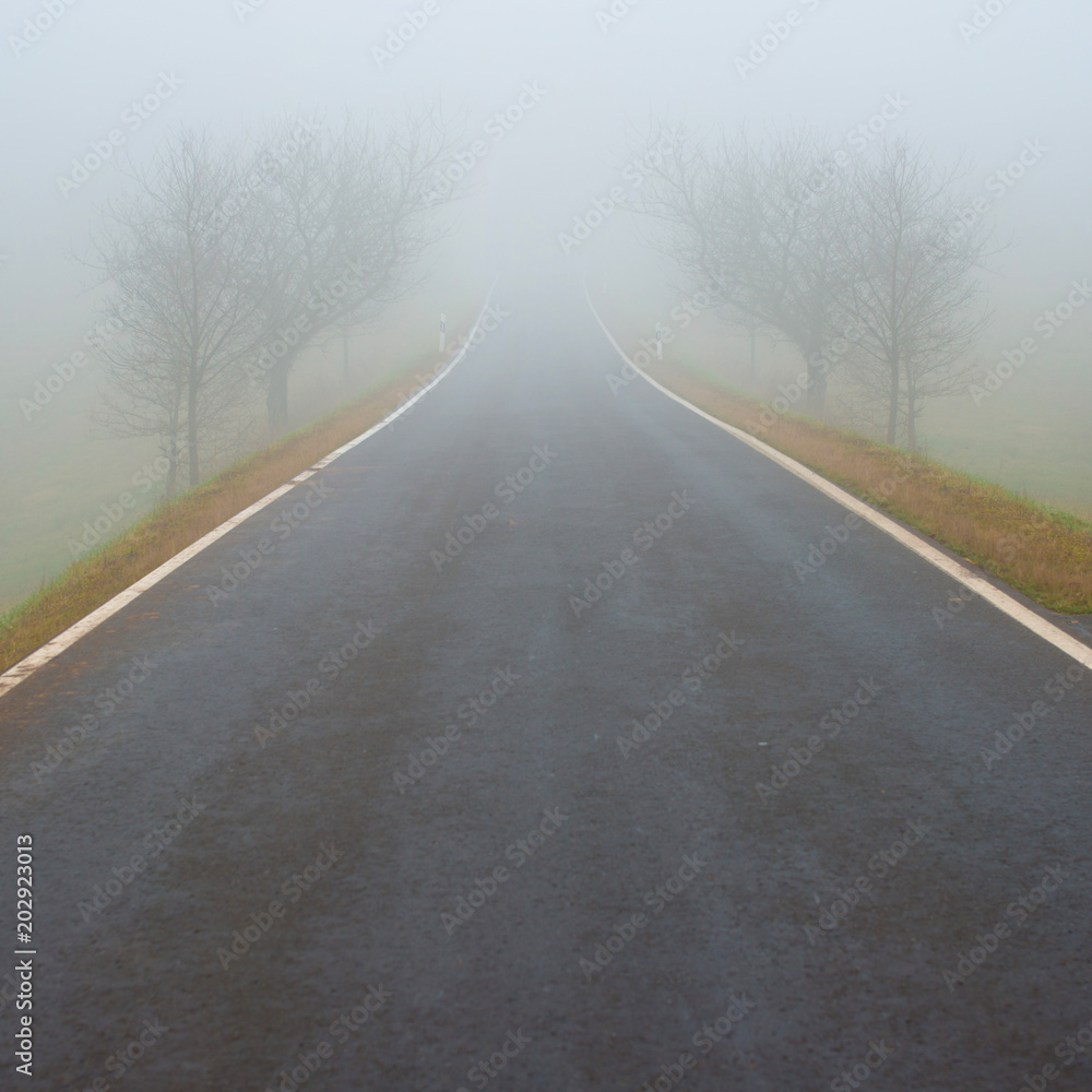 Fototapeta premium Strasse im nebel